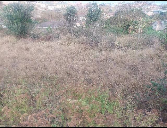 LAND FOR SALE IN ADAMS MISSION